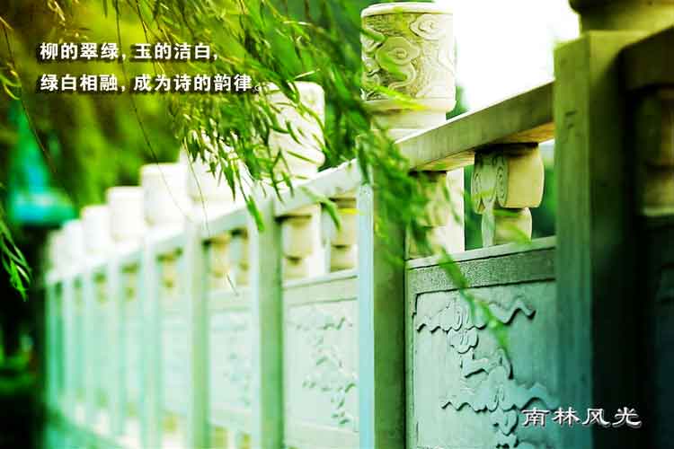 20130407145938_77192.jpg