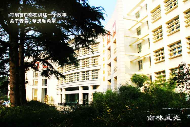 20130407151153_40525.jpg