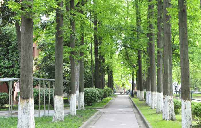 20110712151410978.jpg
